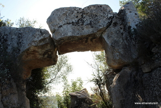Castello Landolina